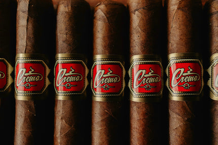 煙雲的洗禮：一支雪茄的完整品鑑儀式指南