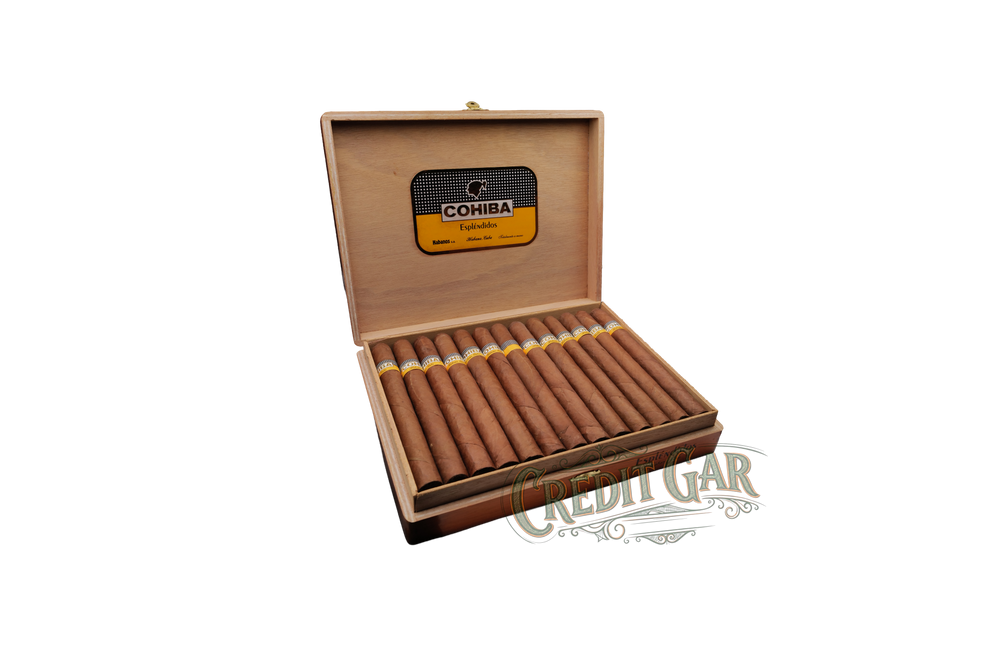 COHIBA ESPLENDIDOS 25' (2010) / (2024) PCC