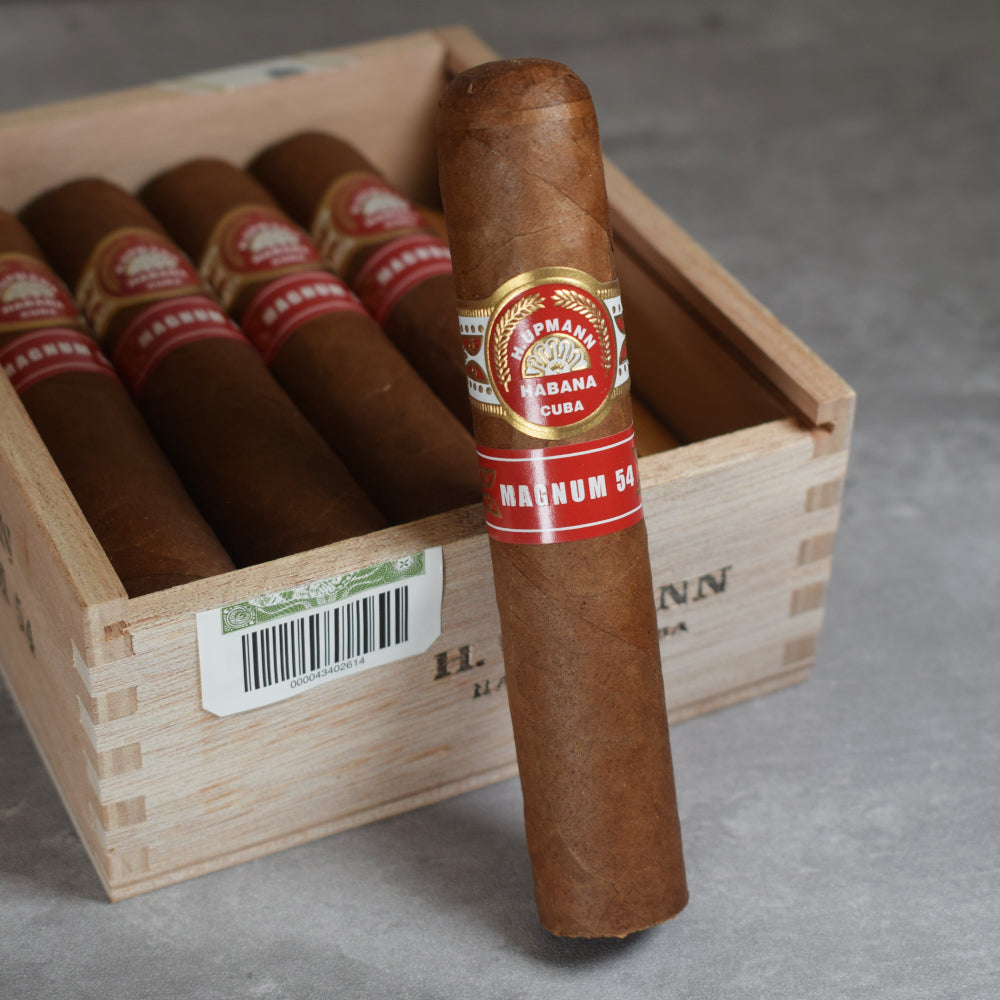 MAGNUM 54 10'