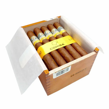 SIGLO II 25' (2012)