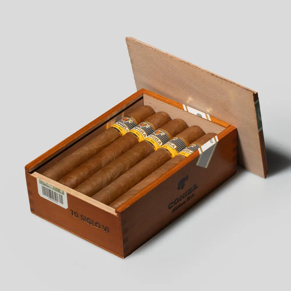 SIGLO VI 10'